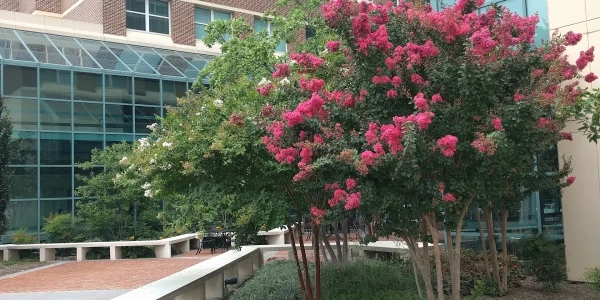 Winchester Medical Center - Behavioral Health Services