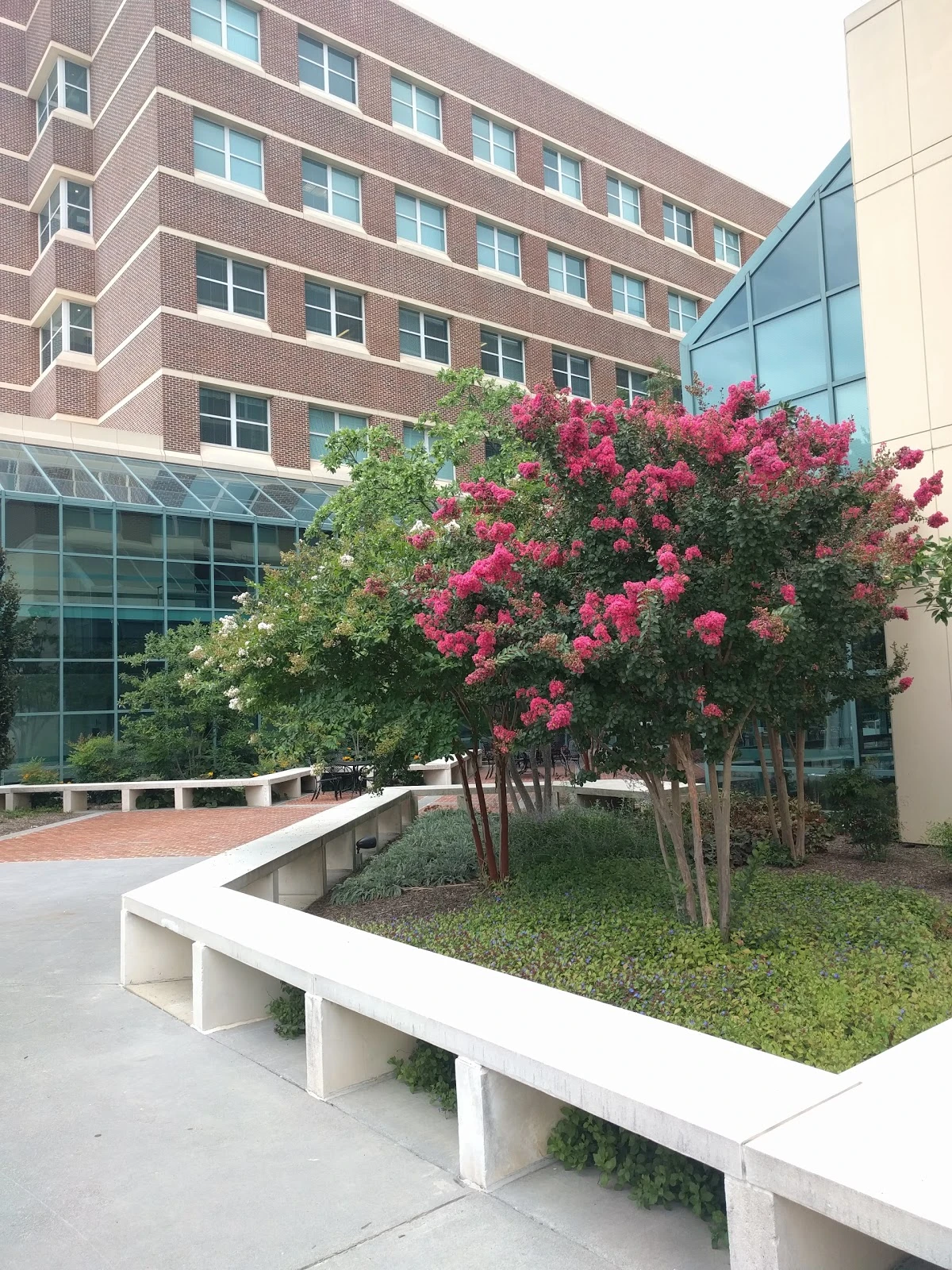 Winchester Medical Center - Behavioral Health Services
